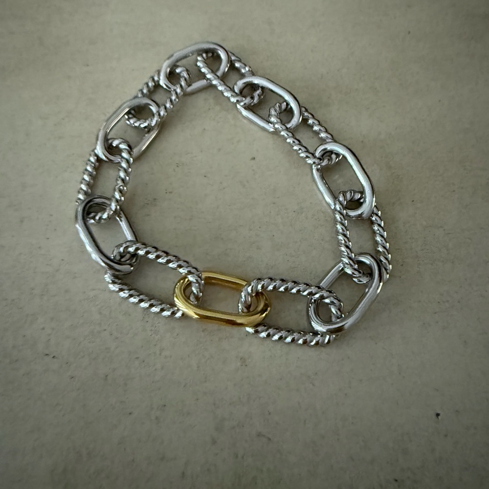 Silver and Gold Chain Bracelet